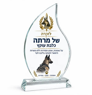 מגן הוקרה FLAME