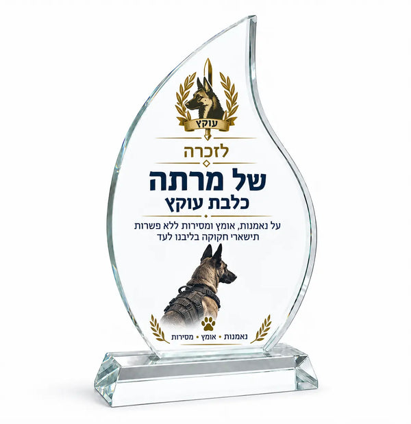 מגן הוקרה FLAME