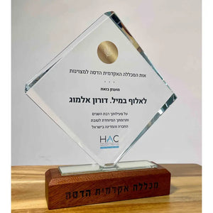 Diamond shape CRYSTAL AWARD