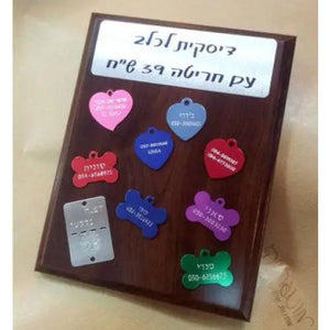 דיסקית לכלב
