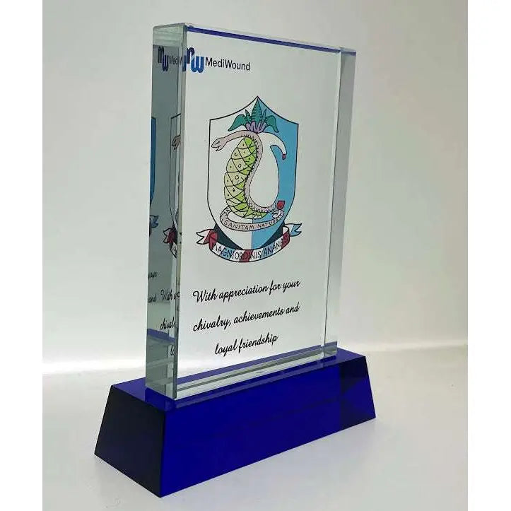 מגן הוקרה Tombstone Trophie